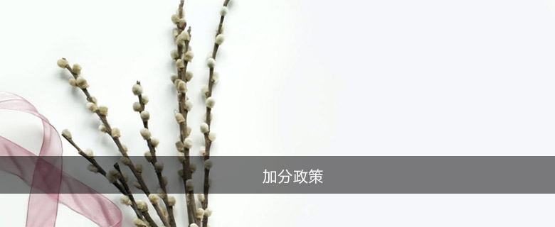 加分政策