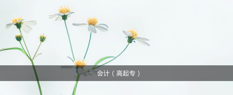 會計(高起專)