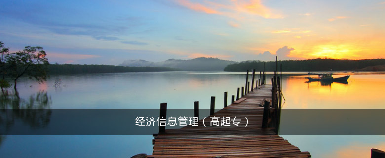 經濟信息管理(高起專)