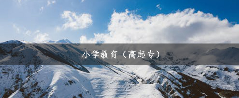 小學(xué)教育(高起專)