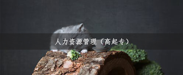 人力資源管理(高起專)