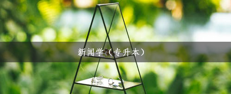 新聞學（專升本）