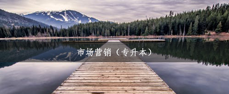 市場營銷(專升本)
