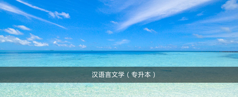 漢語言文學(專升本)