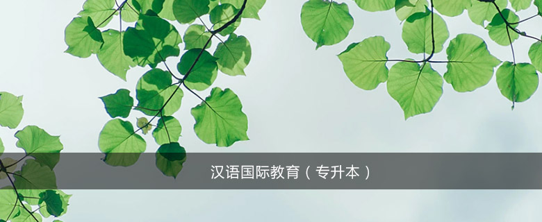 漢語國際教育(專升本)