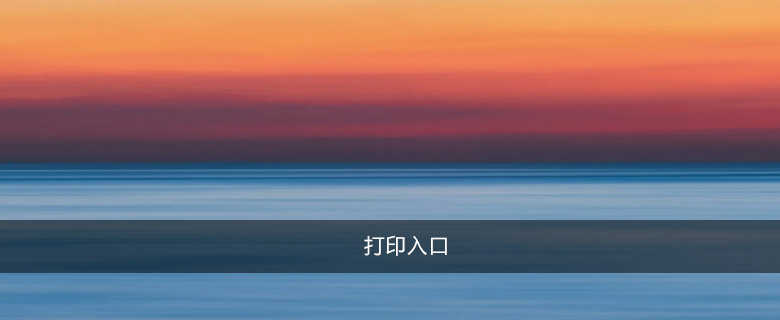 打印入口