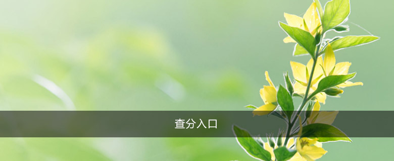 查分入口